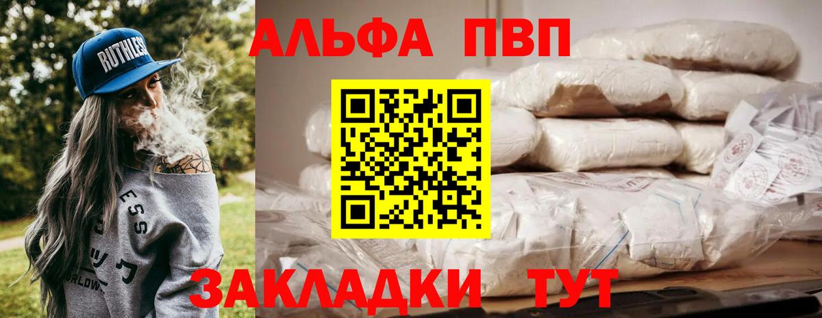 Alfa_PVP СК Мончегорск