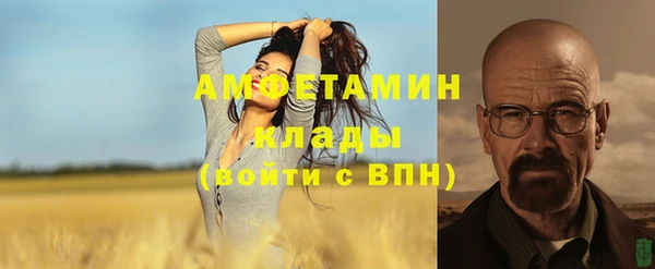 молекула духа Волосово
