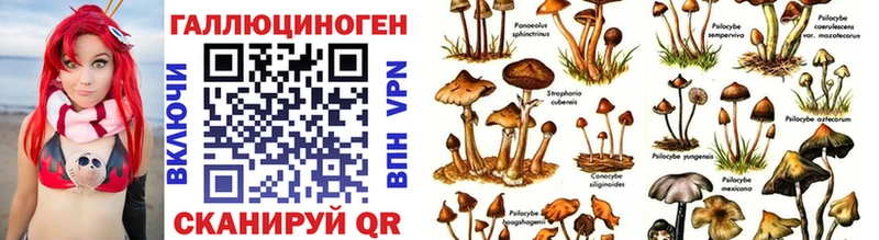 Галлюциногенные грибы Psilocybe купить цена ОМГ ОМГ ТОР Мончегорск
