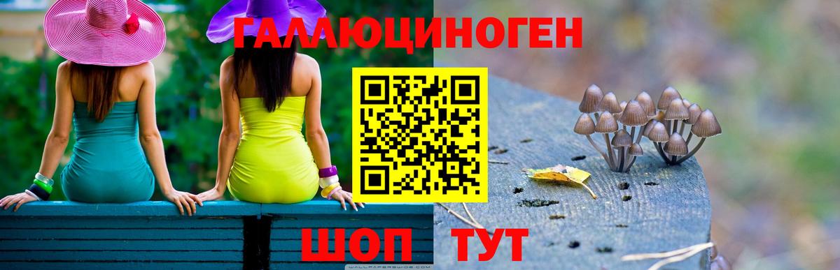 Псилоцибиновые грибы MAGIC MUSHROOMS Мончегорск
